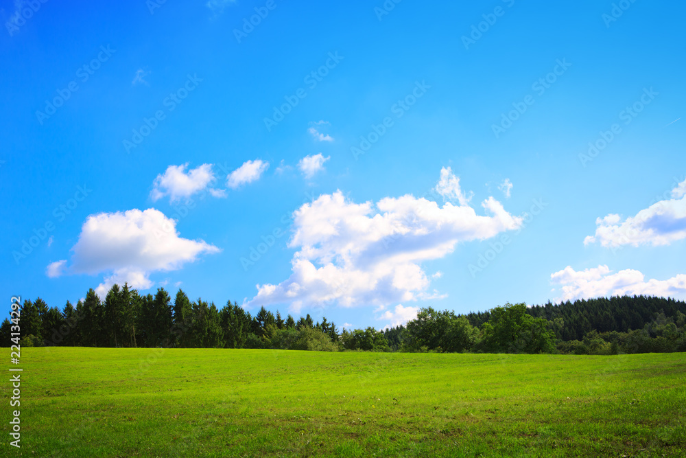 Summer field with green grass and blue sky. Nature background. Summer field with green grass and blue sky. Nature background.