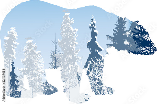 winter snow forest in bear outline