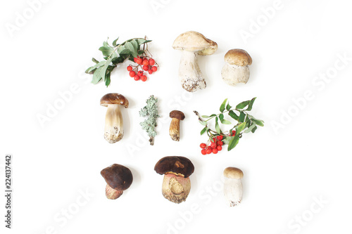 Autumn styled botanical arrangement. Composition of porcino mushrooms, Boletus edulis, rowan berries and lichen on white table background. Fall design, flat lay, top view.