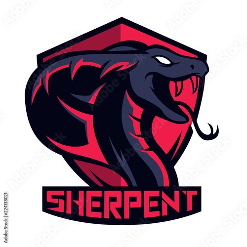 Mascot and character for gaming and sport logo