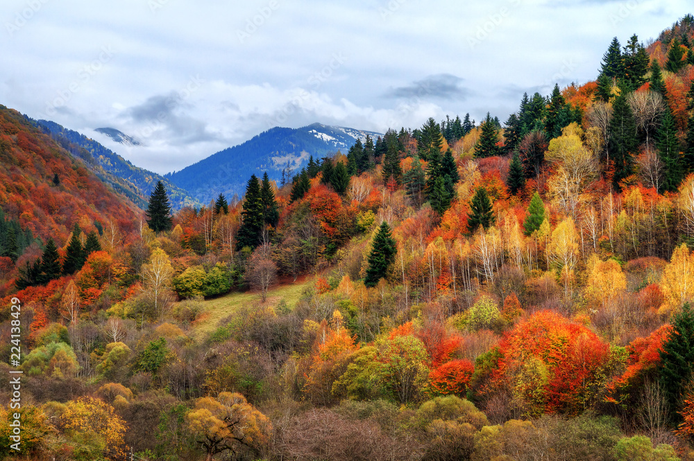 Beautiful landscape view of the mountains of the Rila Nature Park in Bulgaria with vibrant autumn colors in the forest