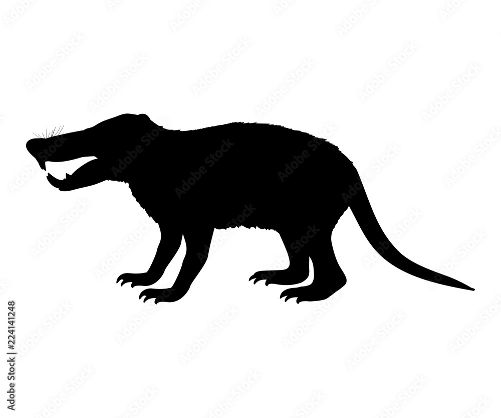 Deinogalerix hedgehog rat silhouette extinct mammal animal