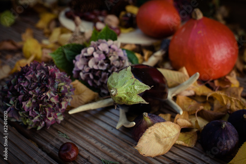 Fototapeta Naklejka Na Ścianę i Meble -  Herbstliches Gemüse