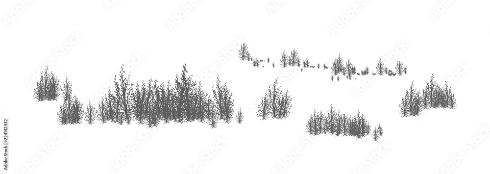 Woody landscape with silhouettes of deciduous trees and shrubs. Horizontal panorama with thicket of forest plants. Decorative design element in black and white colors. Monochrome vector illustration. - obrazy, fototapety, plakaty 