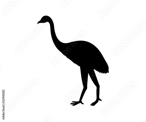 Dinornis Owen silhouette prehistoric bird extinct animal
