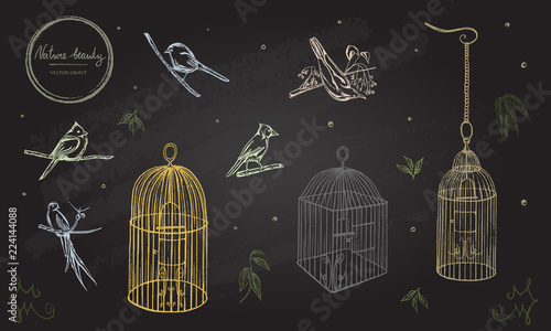 Vector illustration. Chalk style vector set. Birds and cages.