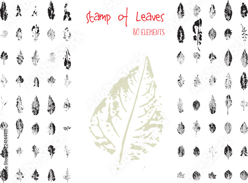 Collection of black paint seal leaves of trees and plants