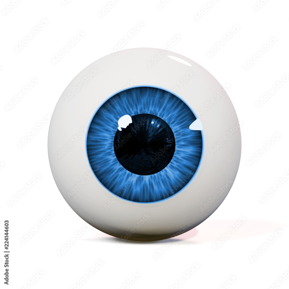 human eyeball with blue iris isolated with shadow on white background human eyeball with blue iris isolated with shadow on white background