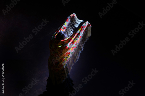 Fotografie, Obraz woman dancing flamenco with an spanish shawl
