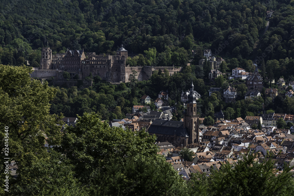 Aerial view of the city of Heidelberg and the neckar river in summer shot from a nearby hill