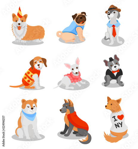Cute purebred puppies set, pedigree dog characters vector Illustrations on a white background