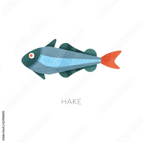 Icon of hake fish. Marine creature. Sea and ocean theme. Flat vector illustration with texture
