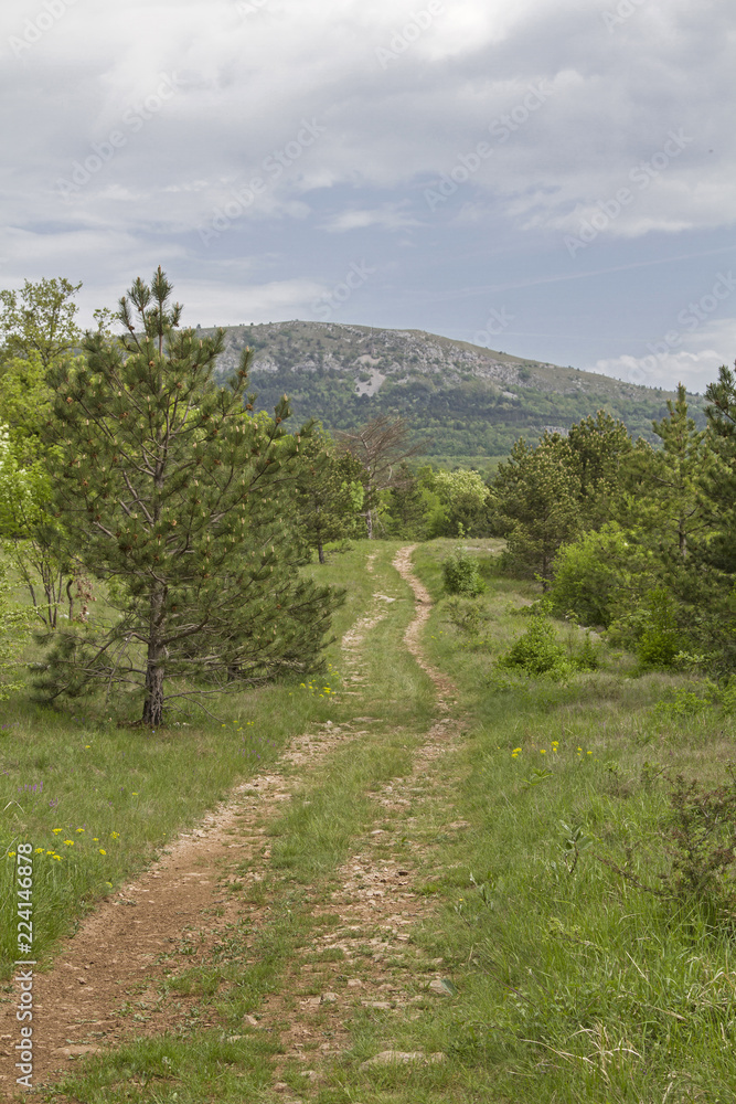 Landschaft in Zentralistrien