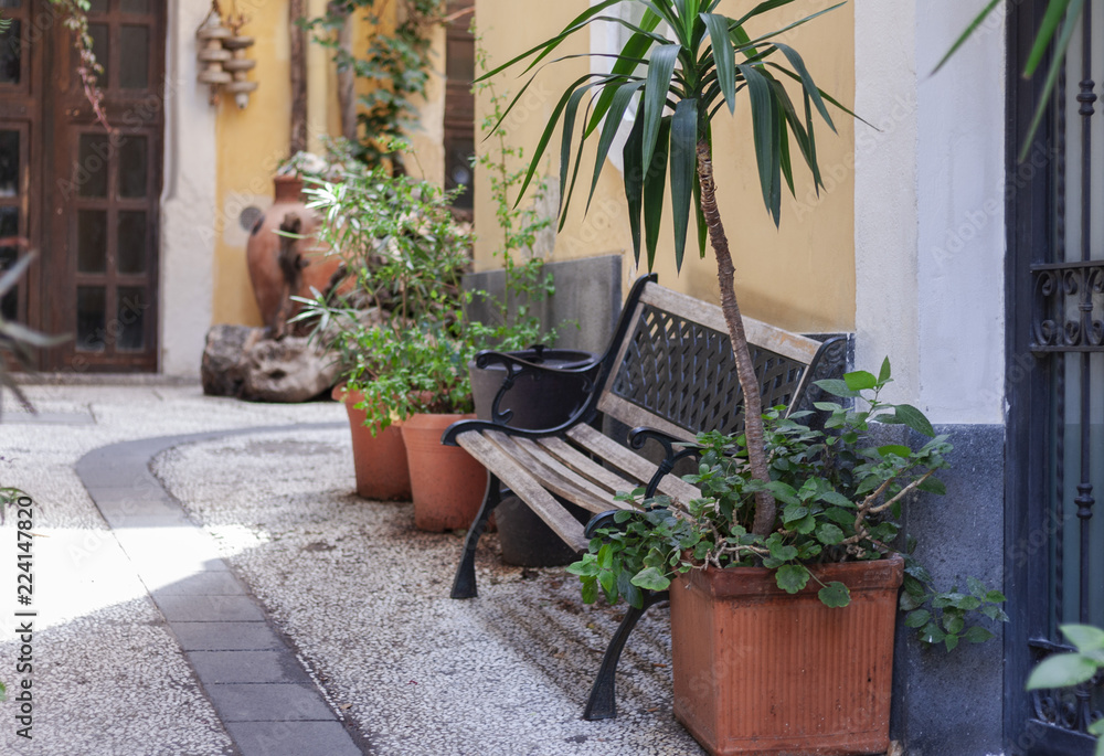 Bench and plants in tubs in the courtyard of the house