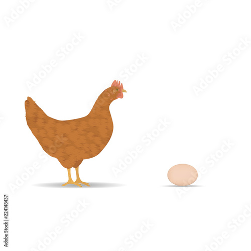 red chicken with egg on white background
