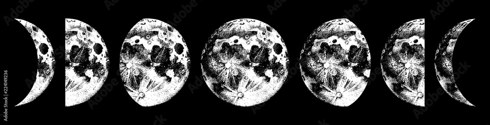 Obraz premium ilustracja faz księżyca