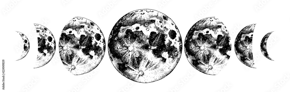 Naklejka premium ilustracja fazy księżyca