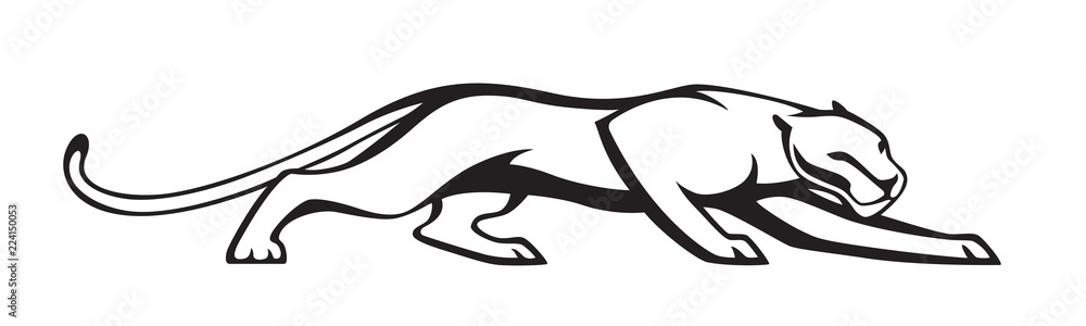 Fototapeta premium Black stylized silhouette of panther. Vector wildcat illustration. Isolated on white background as logo or mascot