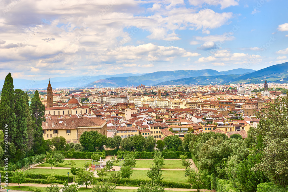 Aerial view of Florence seen from the 