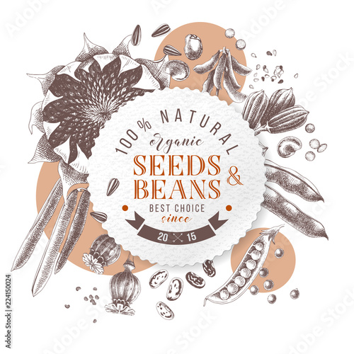 Seeds and beans round emblem over hand drawn plants