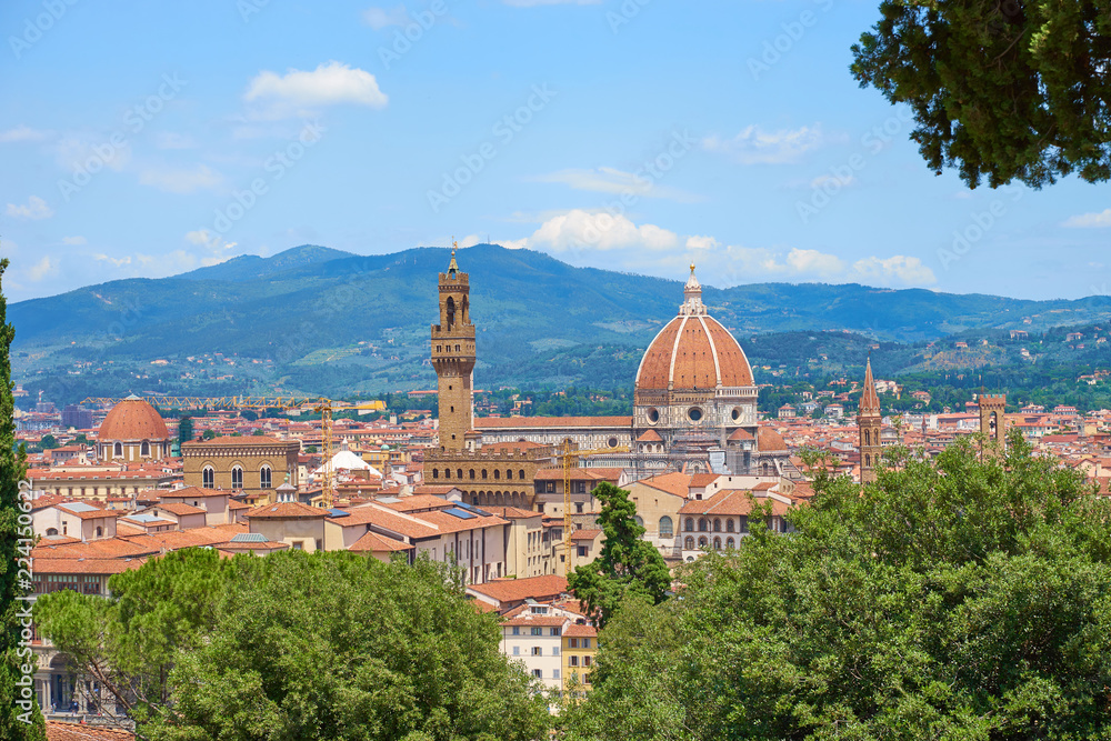 Aerial view of Florence with the Basilica Santa Maria del Fiore (Duomo) and tower of 