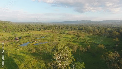 Wallpaper Mural Aerial of a cattle farm cut out of the Amazon rainforest in Ecuador. On a sunny evening, with fish ponds for raising Tilapia, surrounded by primary rainforest. Napo province in the Ecuadorian Amazon. Torontodigital.ca