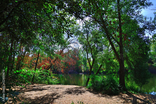 Bullaque River in the natural setting of the Tablas de la Yedra, Piedrabuena, Ciudad Real, Spain. photo