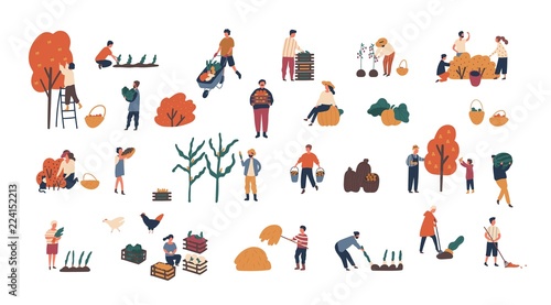 Crowd of tiny people gathering crops or seasonal harvest. Bundle of men and women collecting ripe fruits, berries and vegetables isolated on white background. Flat cartoon vector illustration.