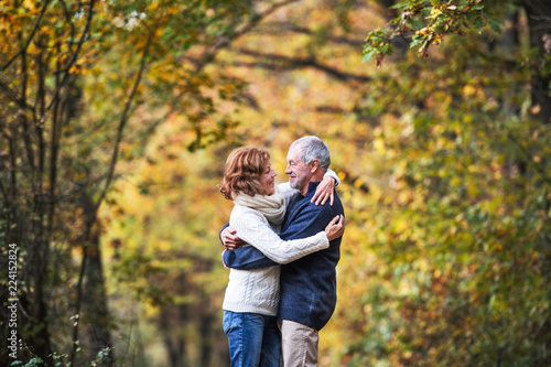 A portrait of a senior couple standing in an autumn nature. Copy space.
