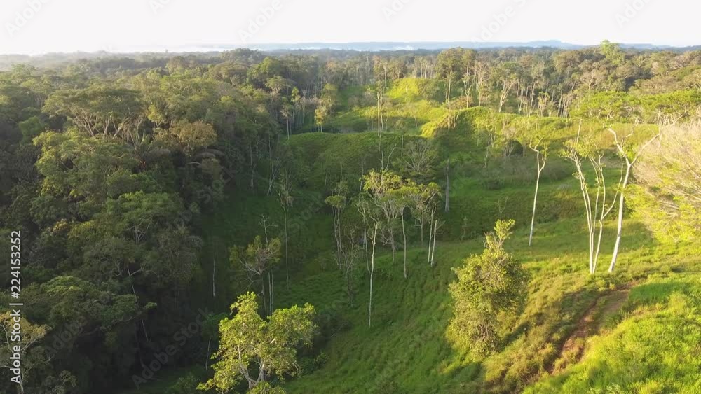 Flying over a clearing cut from Amazonian rainforest for cattle ranching on a sunny evening with untouched primary forrest surrounding it. In Napo province, Ecuador. Flying over a clearing cut from Amazonian rainforest for cattle ranching on a sunny evening with untouched primary forrest surrounding it. In Napo province, Ecuador.
