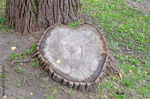 Stump. A tree in the shape of a heart.