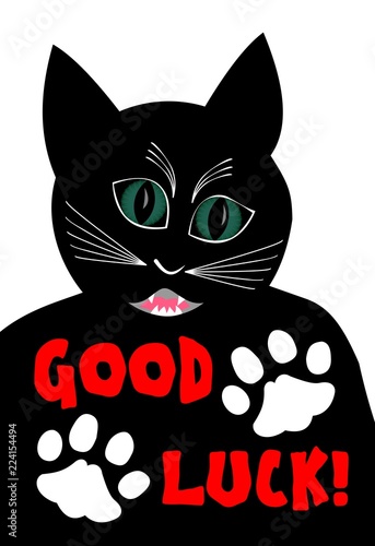 Angry black cat wishing good luck. Cartoon of black tomcat on white background, two white cat paws, Vector illustration