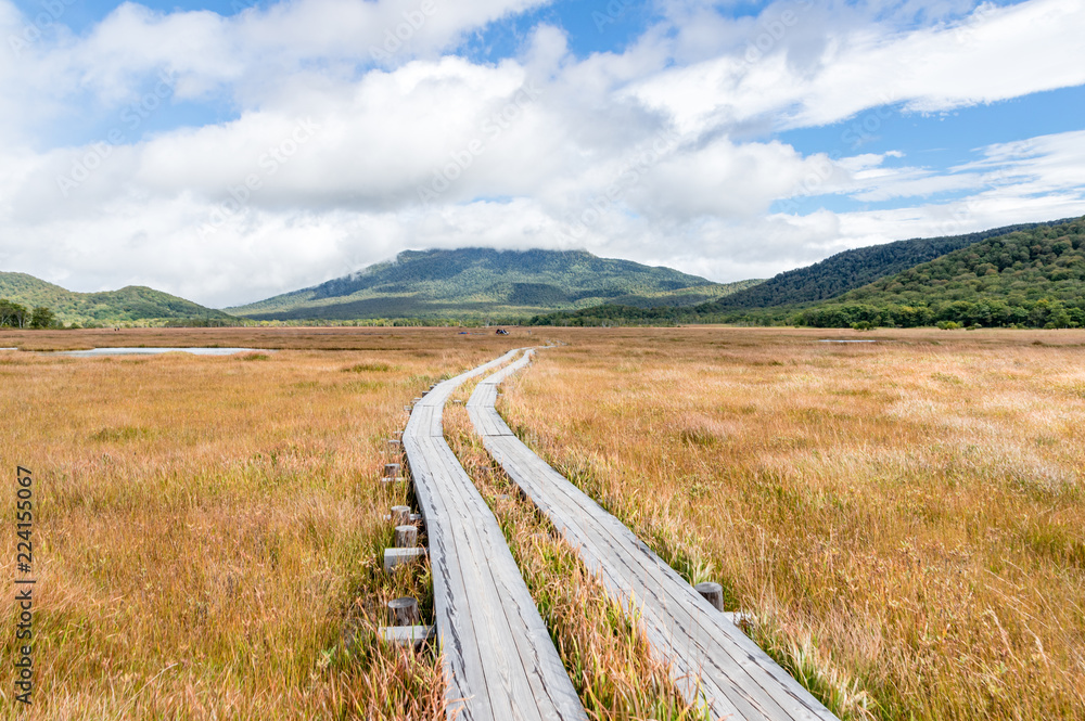 尾瀬ヶ原 雨上がりの草紅葉と木道 Stock Photo Adobe Stock