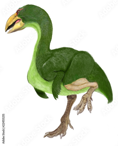 ディアトリマ 6500万年前恐竜絶滅後に出現した鳥類 恐鳥類と呼ばれる巨大な肉食鳥 ガストルニスと呼ばれる恐鳥類と同一とも言われる 第3紀前期の北米 ヨーロッパに君臨した 体高は2メートルを超える 大きな嘴と鋭い爪を持つ イラストは全身再現骨格に基づく ディアトリマ 6500万年前恐竜絶滅後に出現した鳥類 恐鳥類と呼ばれる巨大な肉食鳥 ガストルニスと呼ばれる恐鳥類と同一とも言われる 第3紀前期の北米 ヨーロッパに君臨した 体高は2メートルを超える 大きな嘴と鋭い爪を持つ イラストは全身再現骨格に基づく