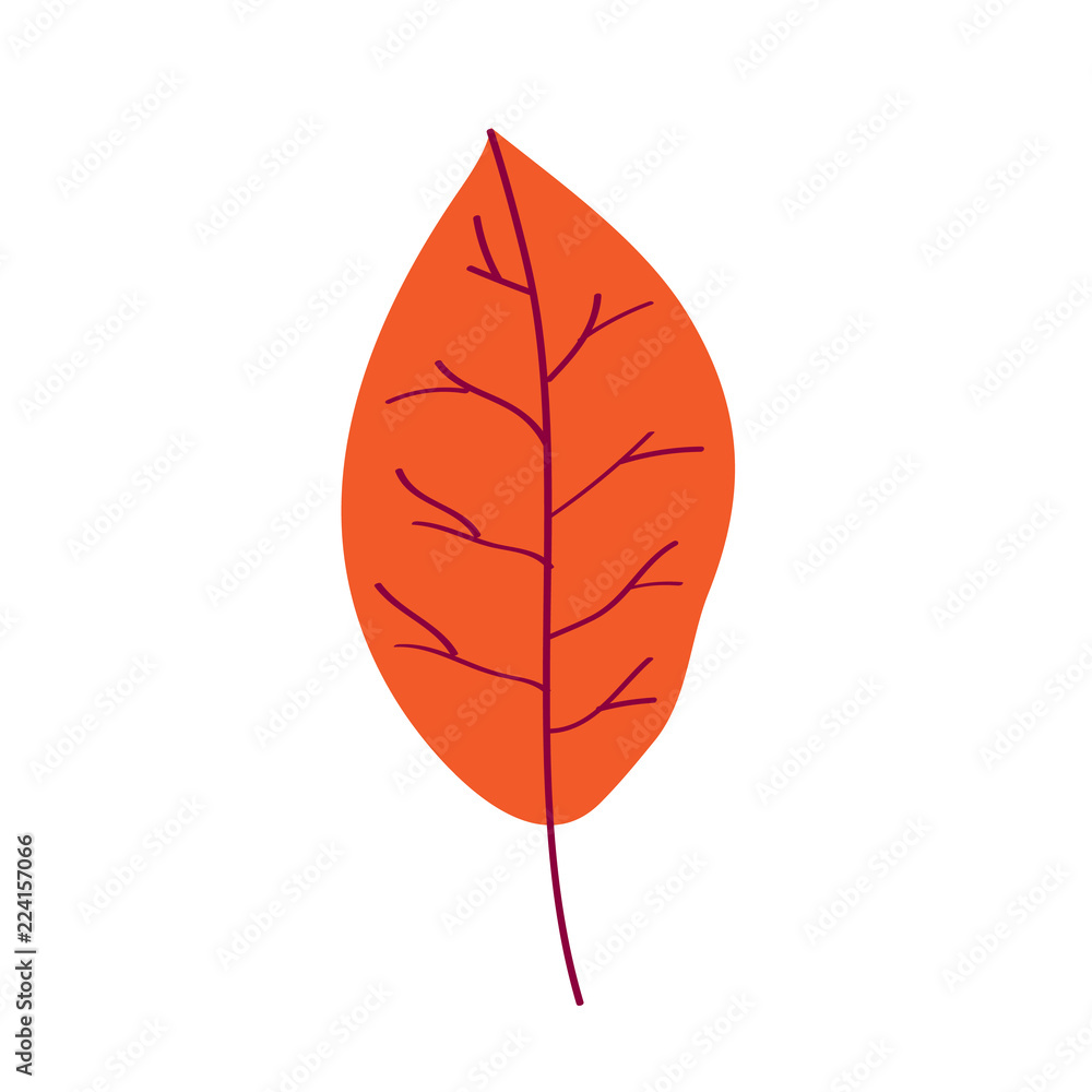 Leaf icon. Autumn leaf Leaf icon. Autumn leaf