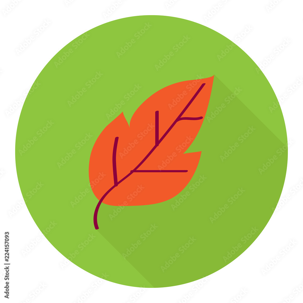 Leaf icon. Autumn leaf Leaf icon. Autumn leaf
