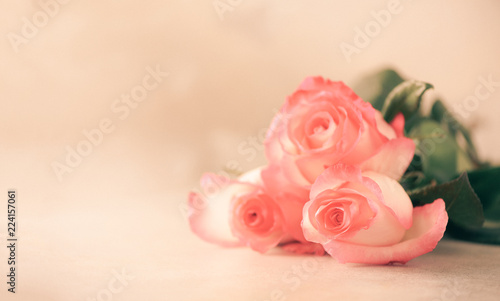 Bunch of pink roses on concrete background. Surprise Valentine's Day, soft color toned. Copy space