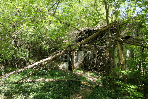 Dilapidated house in the Chernobyl zone, Ukraine