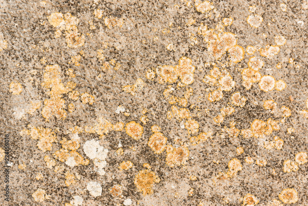 old stone background, texture old stone background, texture