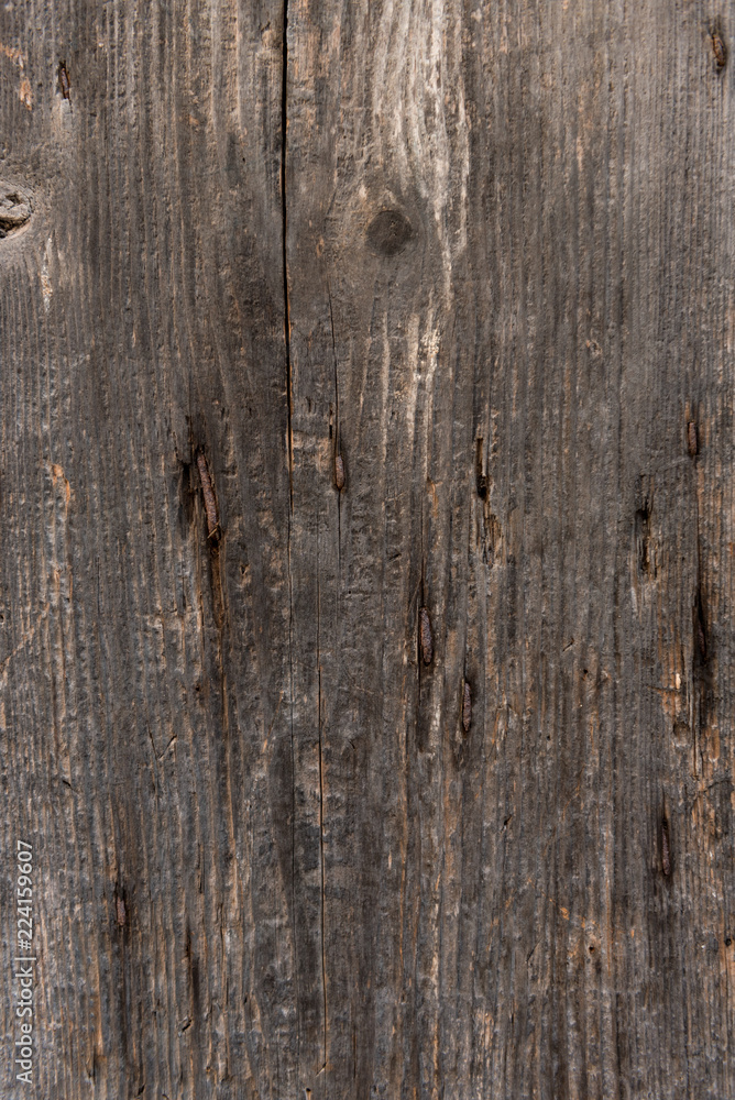 Old wood, background, texture Old wood, background, texture