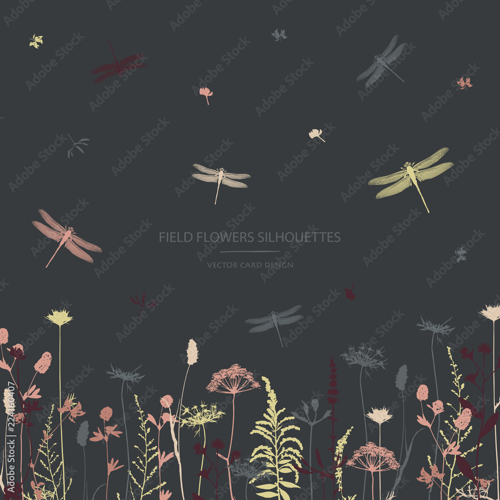 Vector silhouettes collection. Set of field flowers, herbs and dragonflies. Card design. Label design. Vector silhouettes collection. Set of field flowers, herbs and dragonflies. Card design. Label design.