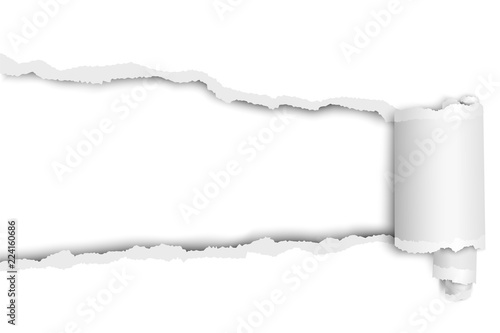 Torn long hole in sheet of white paper with wrapped paper tear. Vector paper mock up.