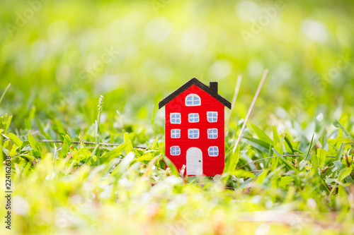 home model on grass background