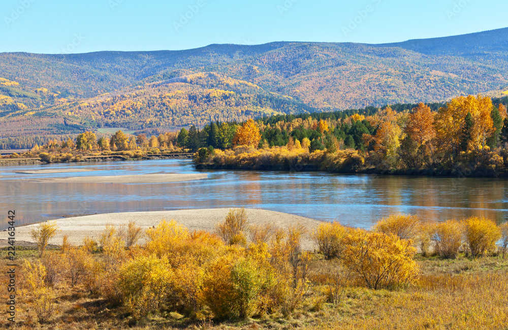 A bright autumn landscape with yellow trees on the banks of the Irkut River