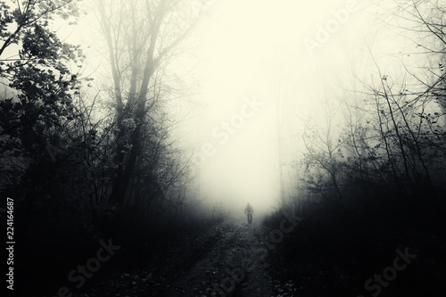 Fototapeta mysterious man silhouette in dark scary forest