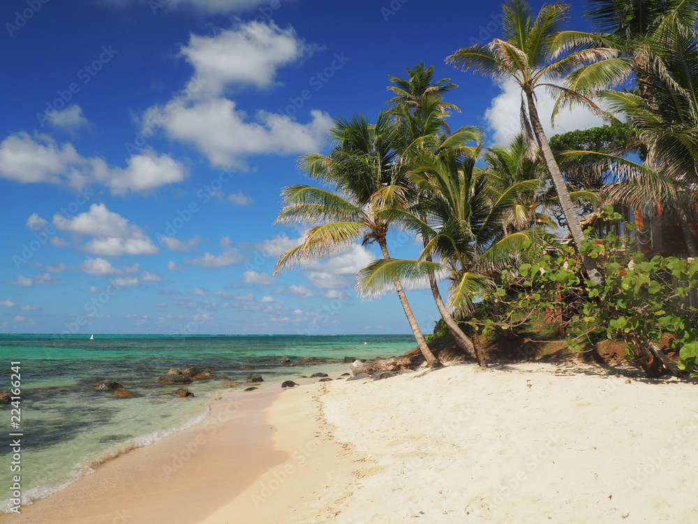 Fototapeta premium Beach on Little Corn Island, Nicaragua