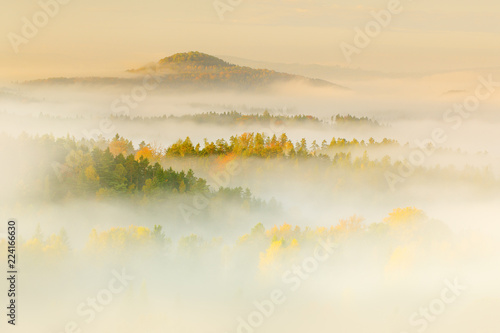 Fototapeta Hills with autumn trees in the fog clouds