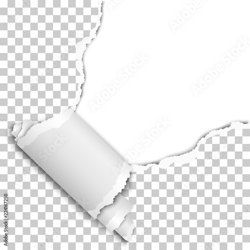 Vector torn upper right corner of sheet of transparent paper with curl. Paper mockup.