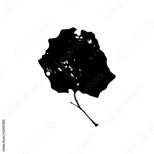 Black silhouette with leaf of tree. Single isolated clipart. Prints of leaves on branch. Flora and nature theme for paper cutting scrapbook design
