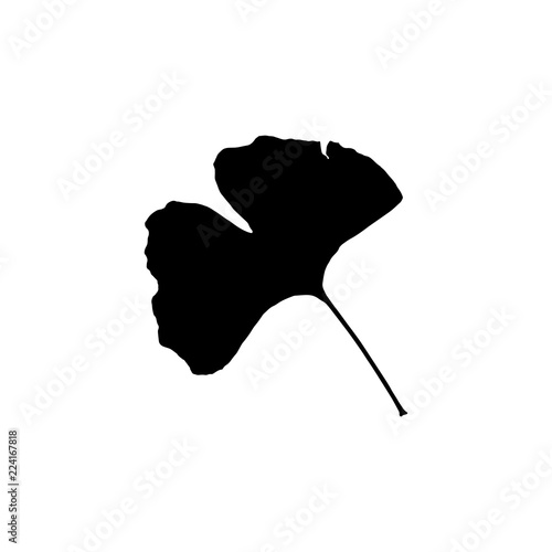 Black silhouette with leaf of tree. Single isolated clipart. Prints of leaves on branch. Flora and nature theme for paper cutting scrapbook design